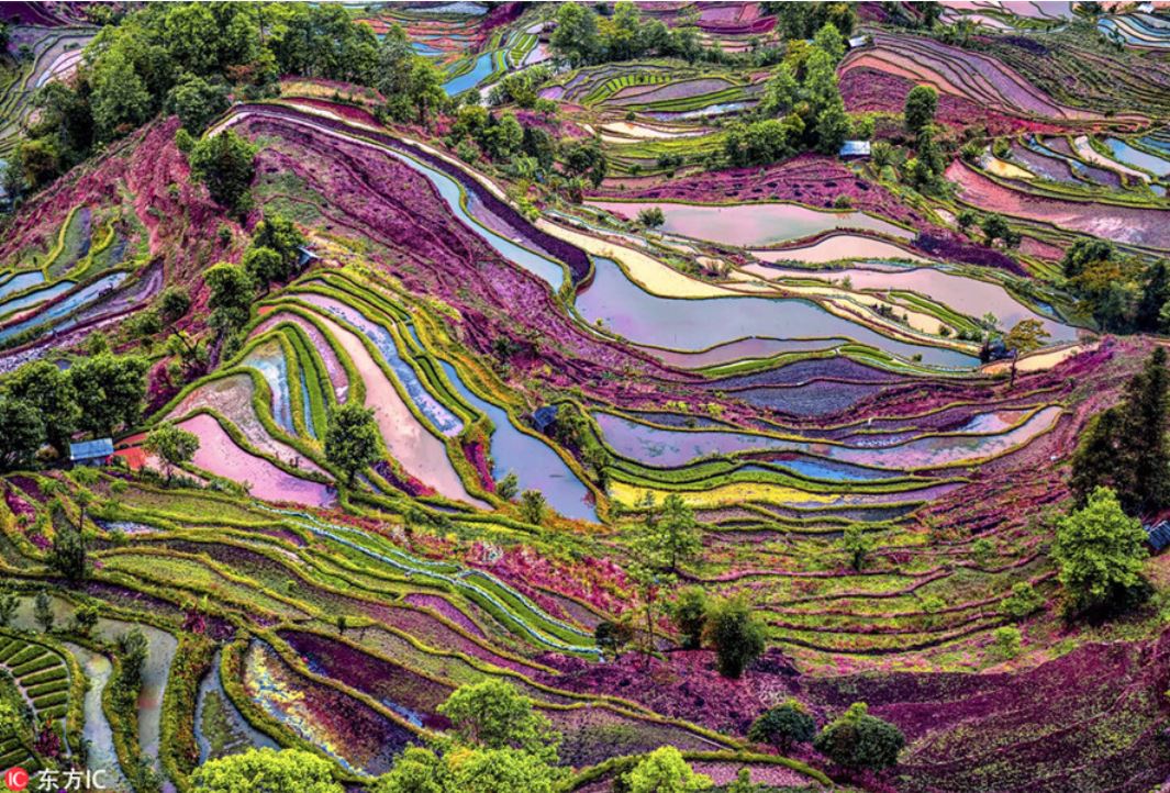 云南 — foto